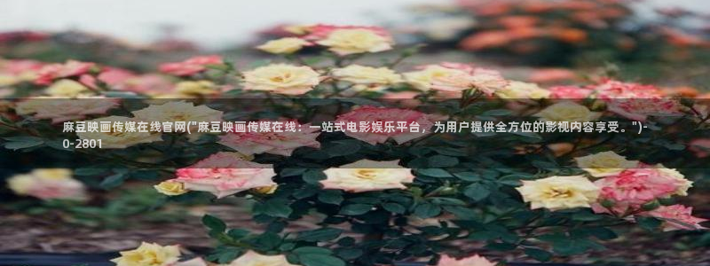 麻豆专题页