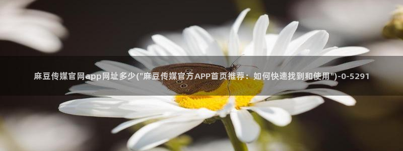 麻豆系列视频