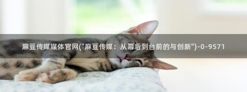 麻豆视频在线看