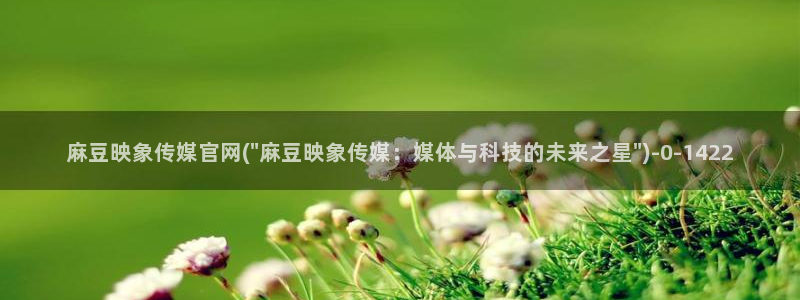 麻豆反转剧情