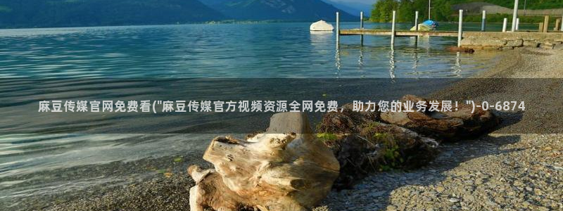 麻豆人物关系
