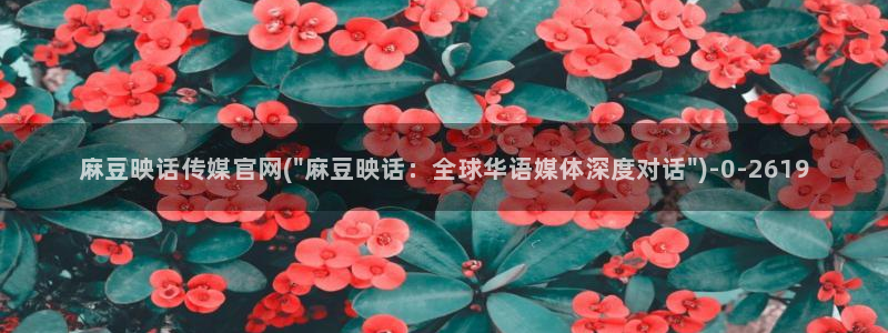 麻豆视频专题内容
