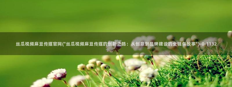 麻豆视频用户体验