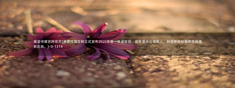麻豆视频关键词