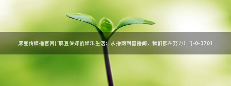 麻豆视频详情文案