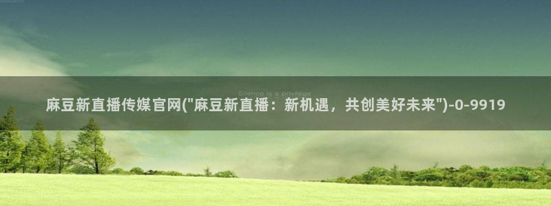 麻豆传媒在线观看