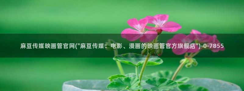 麻豆视频分类名称