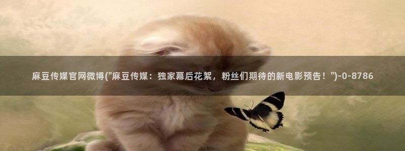 麻豆传媒新片