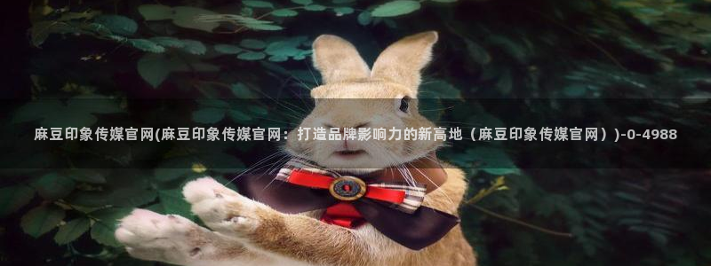 麻豆资源导航