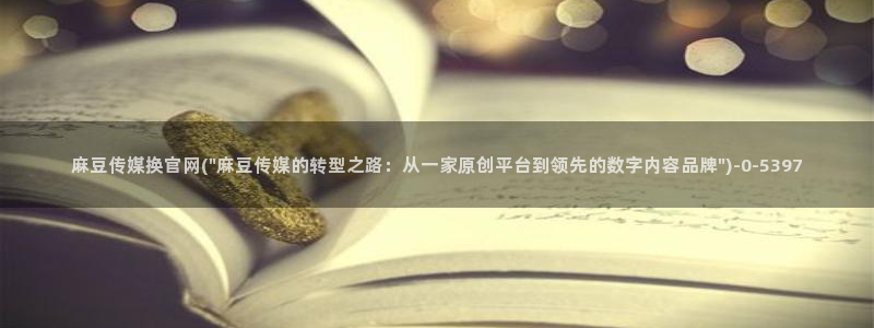 麻豆SEO模板