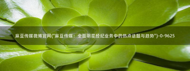 麻豆视频关键词