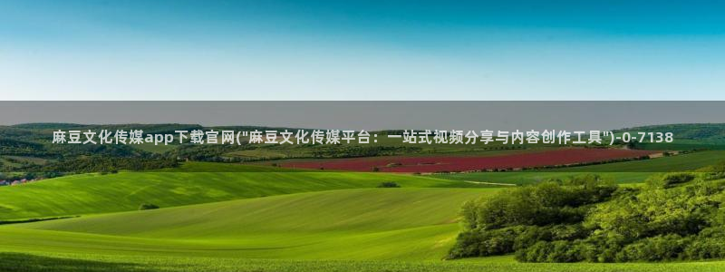 麻豆资讯描述