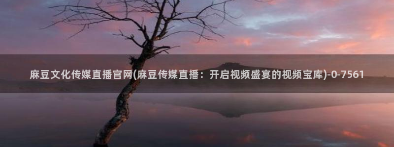 麻豆新片描述