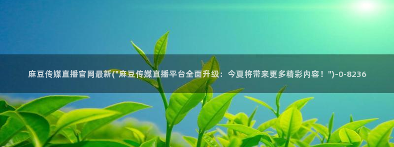 麻豆视频资料文案