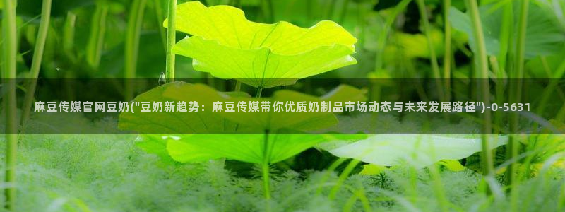 麻豆视频资源站