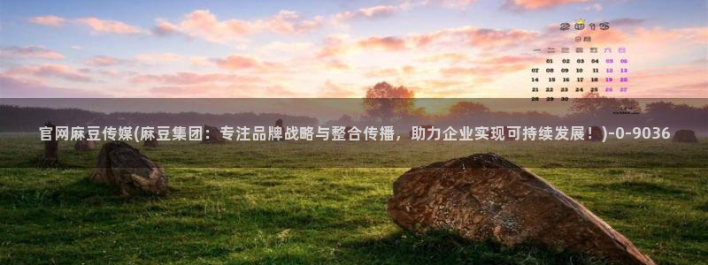 麻豆视频可读内容