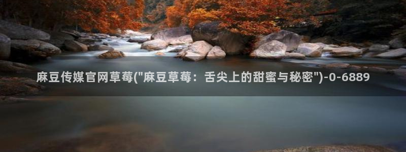 麻豆影视推荐