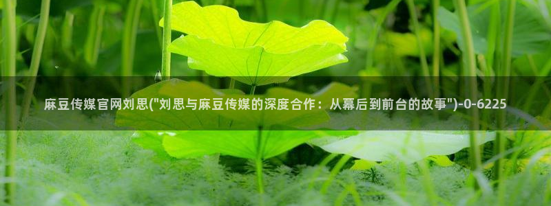麻豆内容模板：麻豆传媒官网刘思(\
