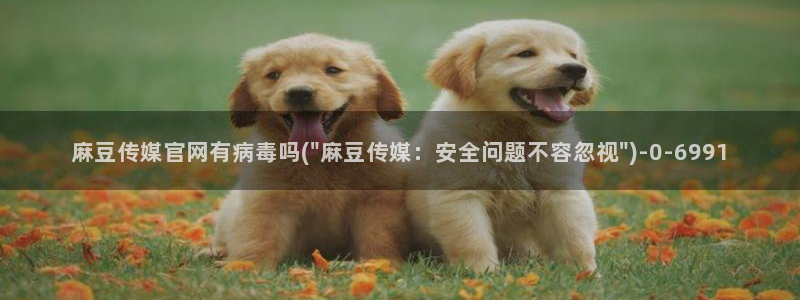 麻豆专题标题：麻豆传媒官网有病毒吗(\