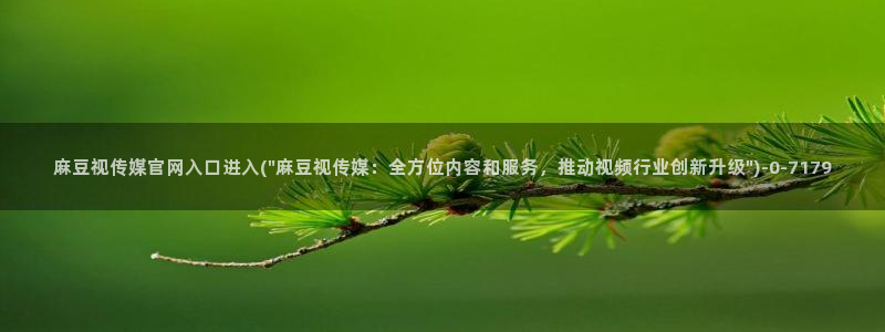 麻豆视频页面标题：麻豆视传媒官网入口进入(\