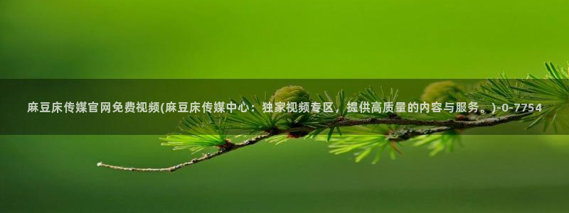 麻豆演员标题