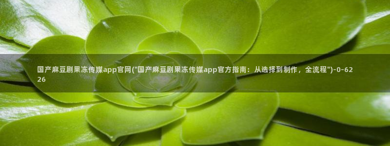 麻豆精选片单