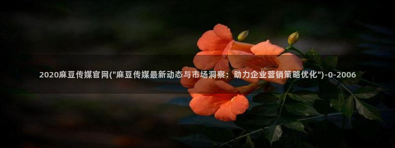 麻豆视频清晰导航：2020麻豆传媒官网(\