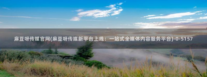 麻豆视频排行文案