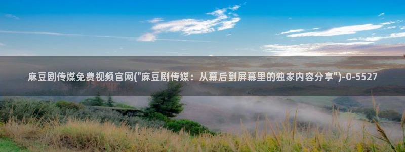 麻豆传媒视频