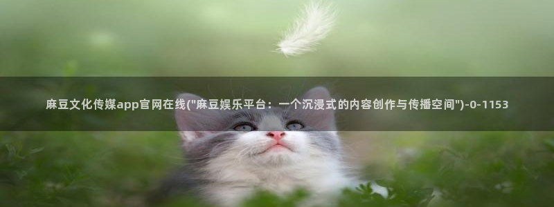 麻豆视频入口