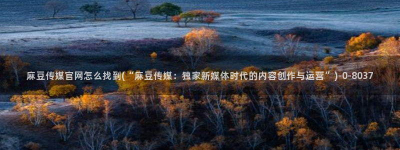 麻豆拍摄花絮