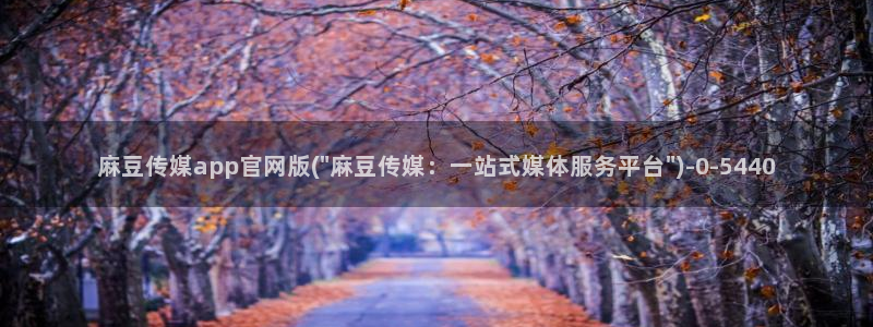 麻豆视频网站