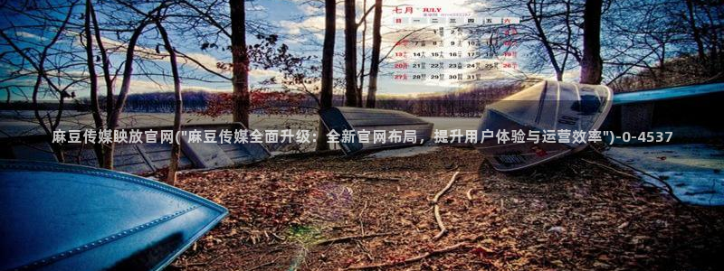 麻豆内容页：麻豆传媒眏放官网(\