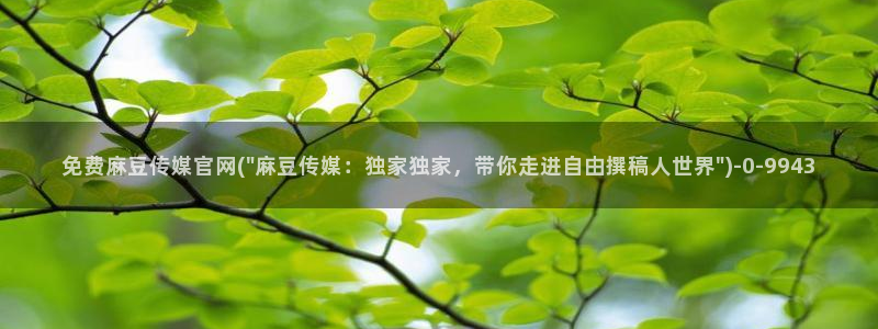 麻豆视频页面标题：免费麻豆传媒官网(\