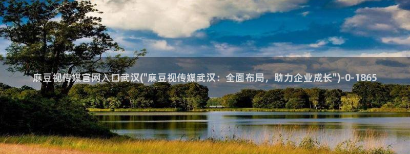 麻豆视频网：麻豆视传媒官网入口武汉(\