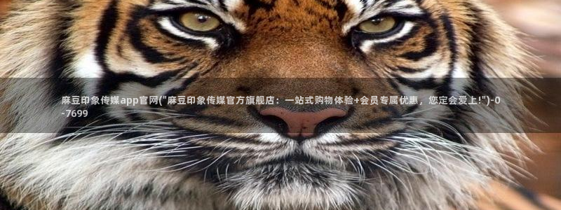麻豆反转剧情