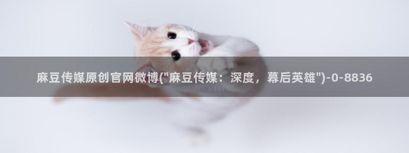 麻豆页面收录