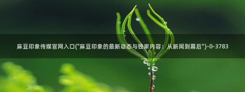 麻豆视频站