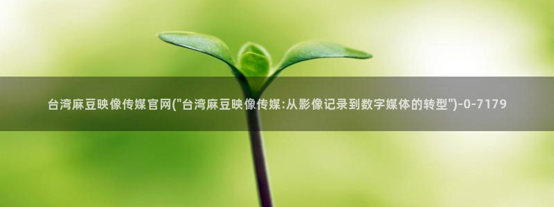 麻豆视频高流量词