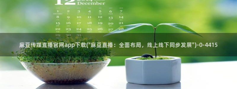 麻豆视频图片规则
