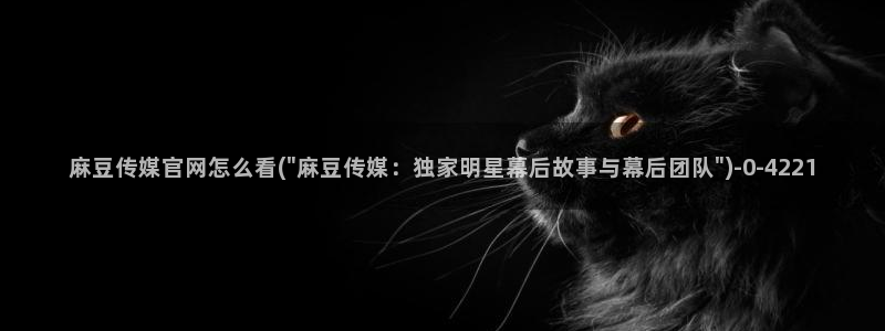 麻豆观看描述