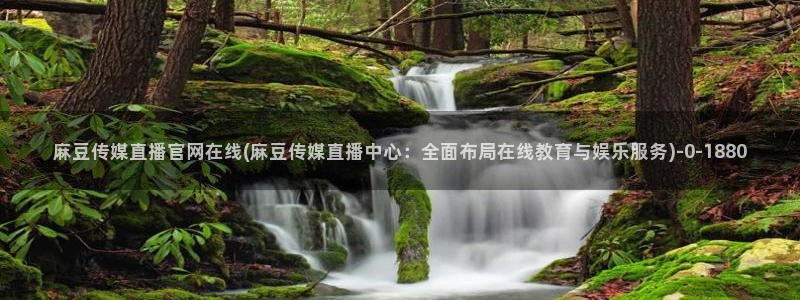 麻豆视频文章描述