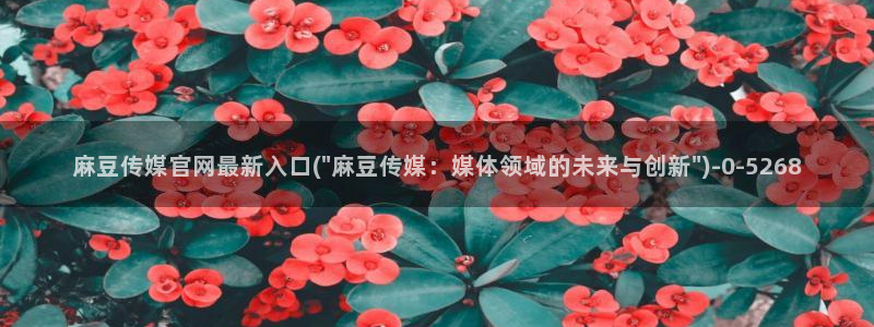 麻豆最新视频