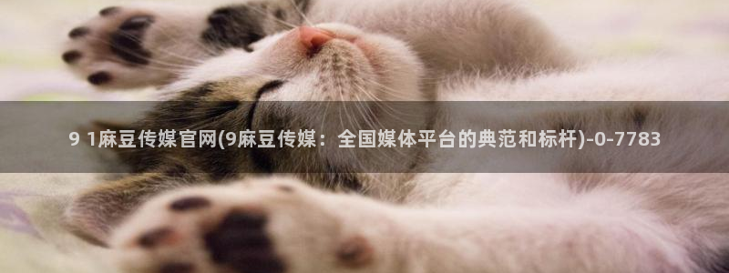 麻豆视频关键词