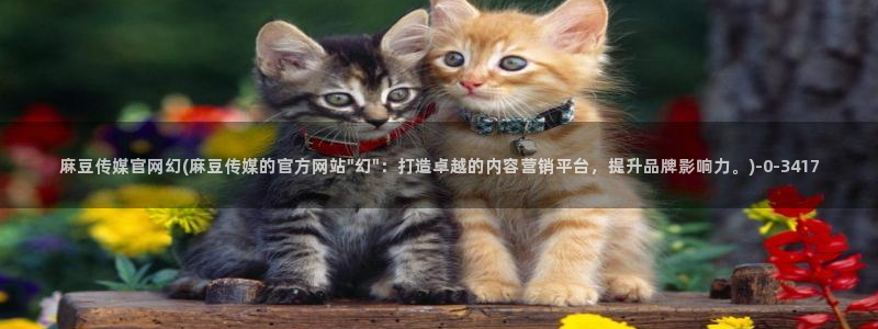 麻豆视频版权说明